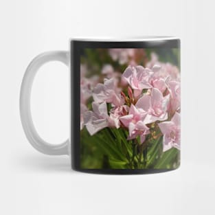 Pink Florida Flowers 2 Mug